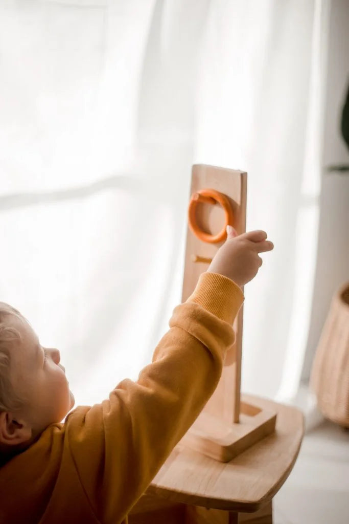 QToys Lek med ringar